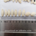 Inner Mongolia chinese 2019 new crop good quality cheap price pumpkin seeds